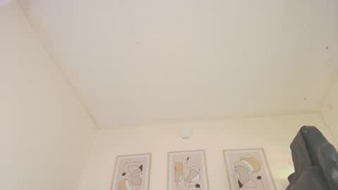 Snapshot of alex4diaz chatting on January 29, 2025, 10:11 pm Alexa online show from January 29, 2025, 10:11 pm