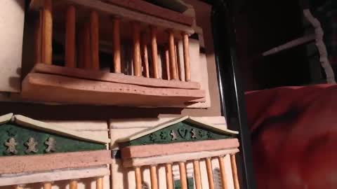 Snapshot of alex_amazing chatting on January 28, 2025, 9:08 pm Alex Amazing online show from January 28, 2025, 9:08 pm