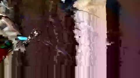 Snapshot of alexey932 chatting on November 10, 2025, 10:03 am alexey932 online show from November 10, 2025, 10:03 am