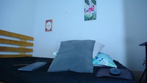 Snapshot of alexisbigc chatting on February 10, 2025, 11:13 pm alex online show from February 10, 2025, 11:13 pm