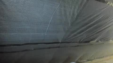 Snapshot of alfiesolomons87 chatting on October 2, 2025, 12:12 pm alfiesolomons87 online show from October 2, 2025, 12:12 pm