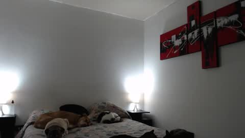 Snapshot of alguien_mas01 chatting on March 12, 2025, 7:24 am cami online show from March 12, 2025, 7:24 am