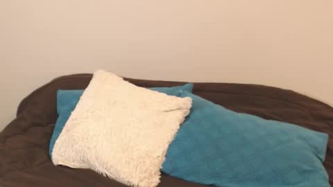 Snapshot of alice_middle01 chatting on September 11, 2025, 4:18 pm Alice online show from September 11, 2025, 4:18 pm