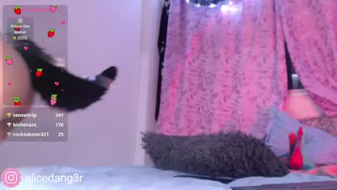 Snapshot of alicedang3r chatting on December 15, 2024, 5:13 am Alice  online show from December 15, 2024, 5:13 am