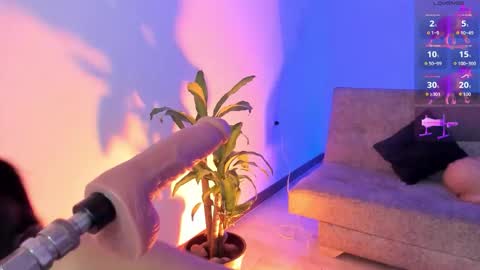 Alicee  online show from January 16, 2026, 9:41 pm