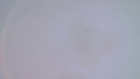 Snapshot of alienexxx chatting on February 14, 2025, 1:34 am     online show from February 14, 2025, 1:34 am