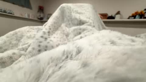 aliosis1 online show from April 20, 2026, 3:20 am