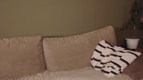 Snapshot of alisaxxxshy chatting on February 3, 2026, 6:40 am alisaxxxshy online show from February 3, 2026, 6:40 am