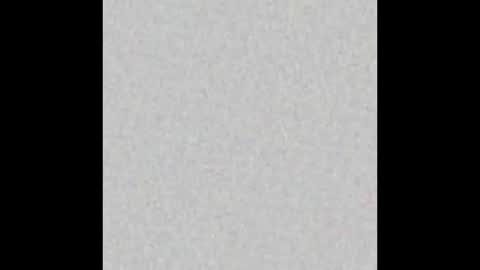 Snapshot of alisse_moore chatting on March 21, 2026, 12:10 pm Alisse online show from March 21, 2026, 12:10 pm