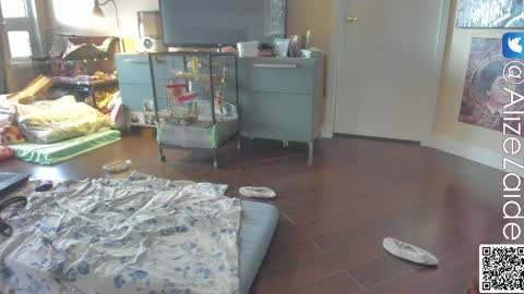 Alize Zaide online show from January 10, 2025, 10:04 pm