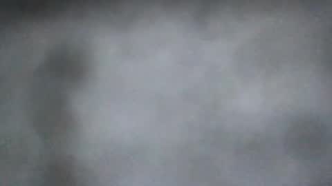 all_most_sane online show from August 4, 2026, 3:25 pm