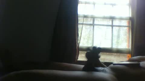 allbermy online show from November 11, 2025, 6:08 pm