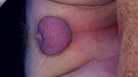 Growing Wiener online show from March 27, 2026, 12:38 am