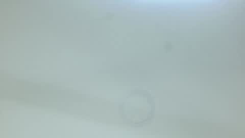 allison___taylor online show from February 13, 2026, 2:40 am