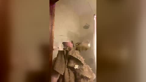 Snapshot of allisonlove2 chatting on April 9, 2026, 11:32 pm allisonlove2 online show from April 9, 2026, 11:32 pm