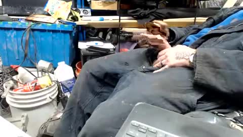 allwolf0323 online show from April 17, 2026, 9:23 am