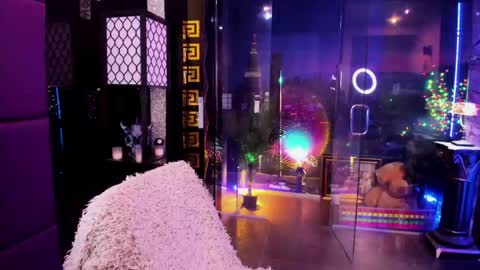 Alma online show from May 17, 2026, 9:38 am