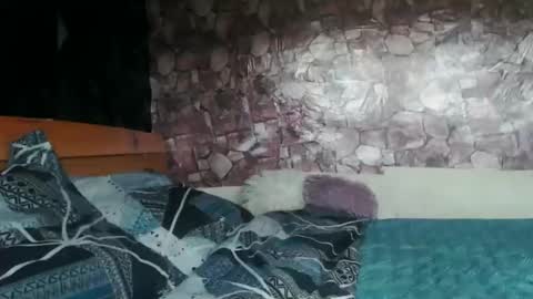 Almah online show from March 31, 2026, 9:43 am