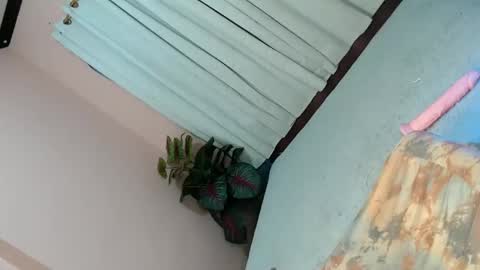 Snapshot of alove_too_last chatting on February 2, 2025, 4:43 pm LEXY online show from February 2, 2025, 4:43 pm