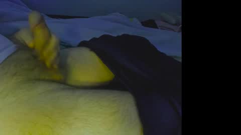 alphablue_wolf1295 online show from December 4, 2024, 7:06 am