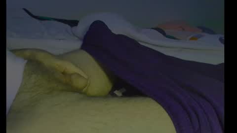 alphablue_wolf1295 online show from January 12, 2025, 12:44 pm