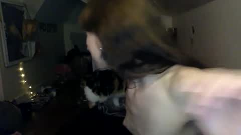 jane online show from March 27, 2026, 12:27 am