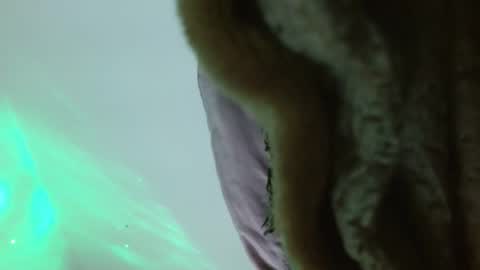 Ambaar online show from February 10, 2026, 11:09 pm