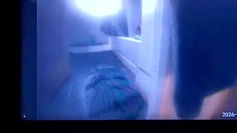 ammoman22 online show from July 30, 2026, 2:54 am