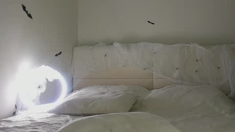 Snapshot of amy1_1 chatting on October 31, 2025, 1:39 am amy1_1 online show from October 31, 2025, 1:39 am