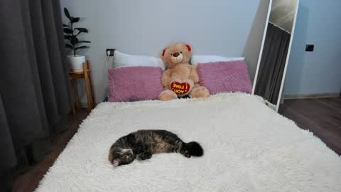 Snapshot of amymilson chatting on December 20, 2024, 3:21 pm amymilson online show from December 20, 2024, 3:21 pm