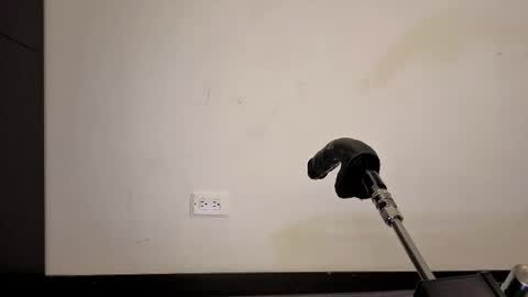 Anabel Alice Gandara online show from May 17, 2026, 5:31 pm