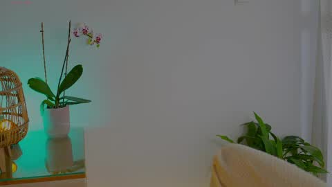 anabelcurvy online show from May 24, 2026, 9:58 am