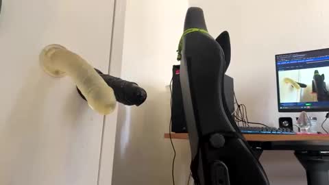 Snapshot of analass_ chatting on September 20, 2025, 11:00 am analass_ online show from September 20, 2025, 11:00 am