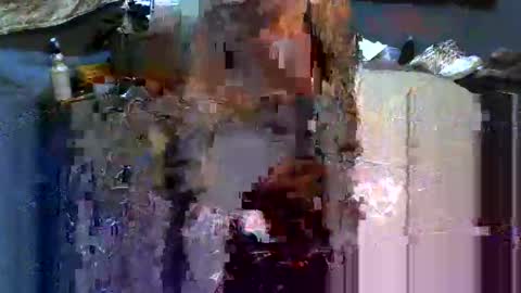 Snapshot of analwhore666 chatting on February 16, 2025, 6:10 pm kinkylilanalslut online show from February 16, 2025, 6:10 pm