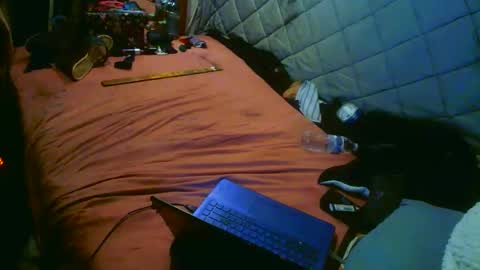 Snapshot of analwhore666 chatting on October 18, 2025, 11:00 am kinkylilanalslut online show from October 18, 2025, 11:00 am