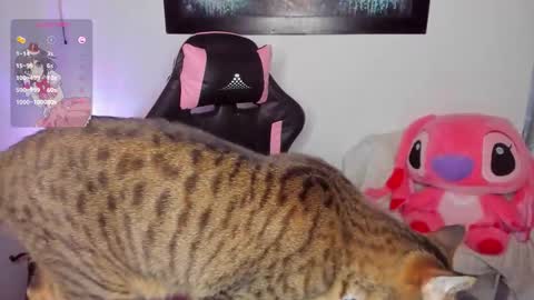 Andrea online show from March 8, 2026, 7:01 am