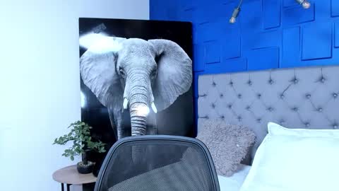 insta andres clark  online show from September 26, 2025, 6:01 pm