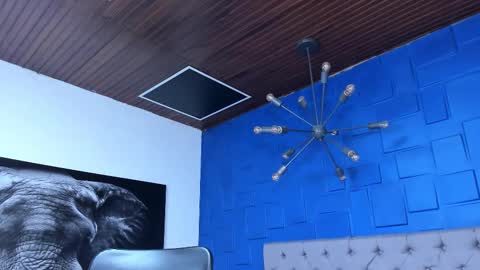 insta andres clark  online show from December 14, 2025, 2:55 pm