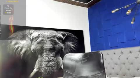 insta andres clark  online show from March 25, 2026, 4:24 pm