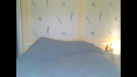 Alinessa online show from April 1, 2026, 5:21 pm