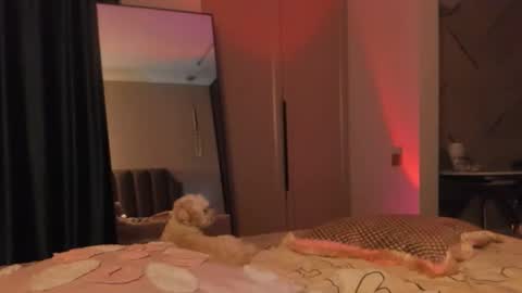 angel_andreww online show from May 27, 2026, 6:16 pm