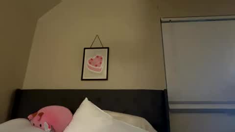 Snapshot of angelgrl444 chatting on February 23, 2025, 9:00 am Princess Peach online show from February 23, 2025, 9:00 am