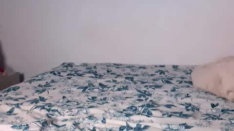 Snapshot of angelinhaa chatting on January 17, 2026, 4:06 am Angelinhaa online show from January 17, 2026, 4:06 am