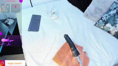 Snapshot of angiee_roses chatting on December 13, 2024, 3:16 am angiee roses online show from December 13, 2024, 3:16 am