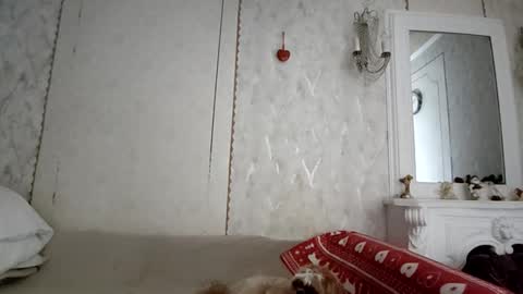 Anna online show from December 4, 2025, 6:23 am