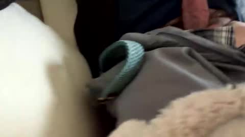 Snapshot of anonomousloser chatting on March 19, 2026, 2:43 pm anonomousloser online show from March 19, 2026, 2:43 pm