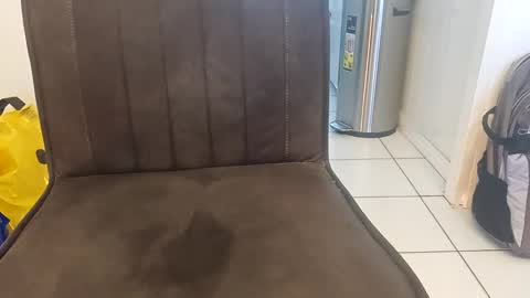 anotherstarfish online show from February 18, 2025, 4:05 pm