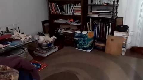 antonino85 online show from December 24, 2024, 7:11 pm