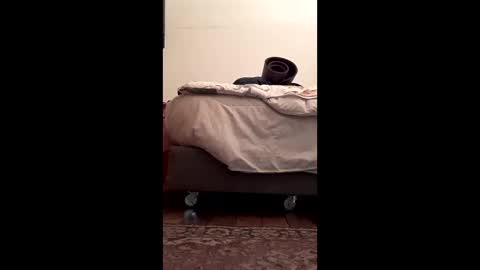 antonino85 online show from February 10, 2026, 5:17 pm