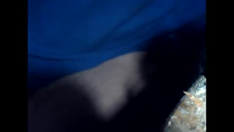 antxon12 online show from April 15, 2026, 7:10 pm